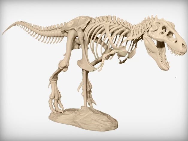 T Rex Skeleton By Makerbot Thingiverse - roblox skeleton t rex toy