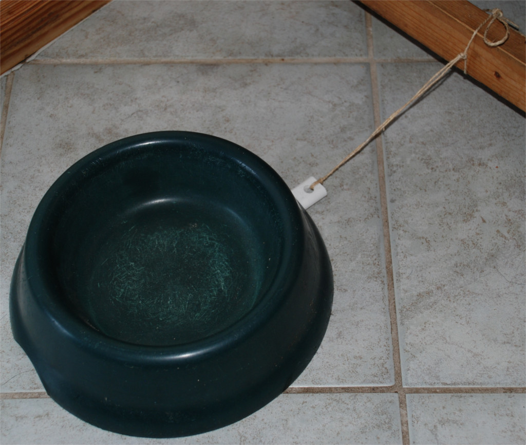 Movement radius restriction for the dog bowl