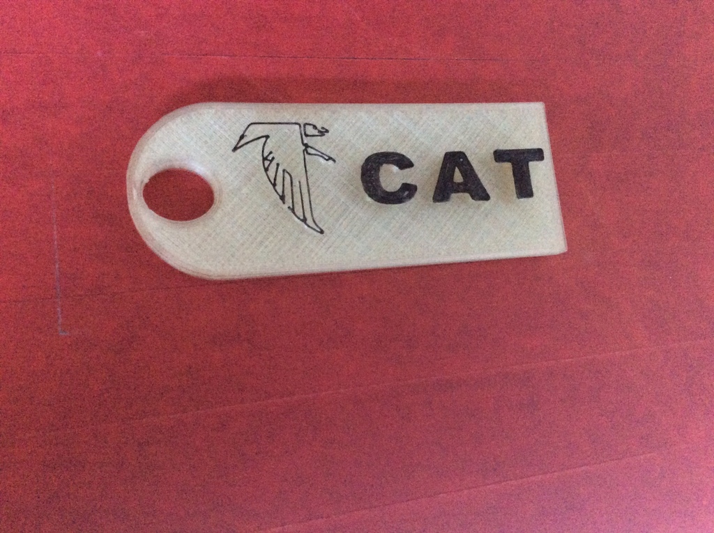 Luggage Tag for Cat with a Warhawk
