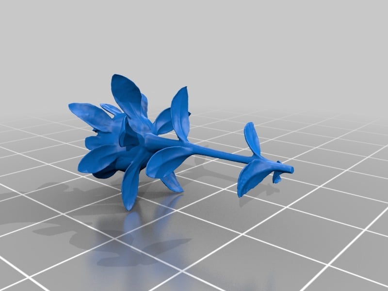 Flower - 3D Scan