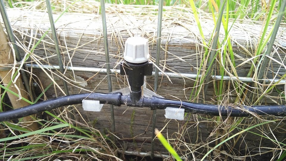 Several irrigation tube clips