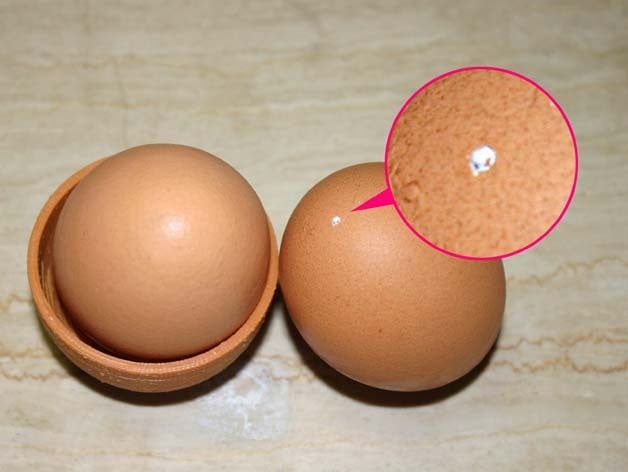 Egg piercer
