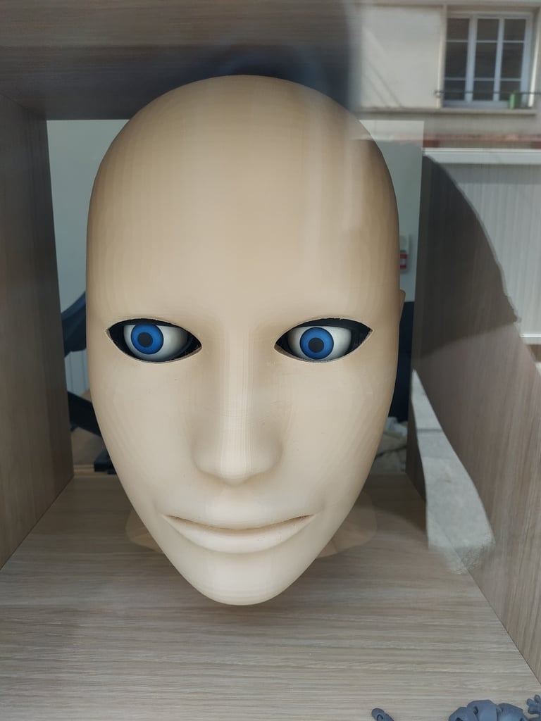 Human Head Model remixed for eyes animatronic