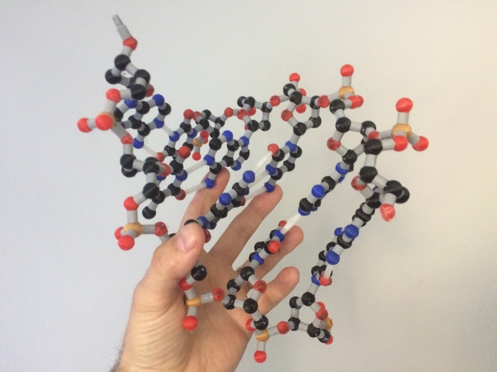 Full-color DNA building kit
