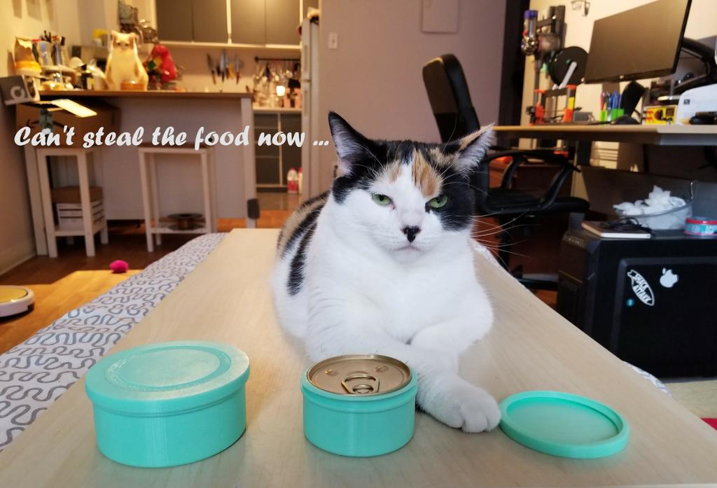Cat Food Container - Large and Small