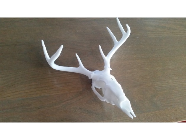 plastic deer skull