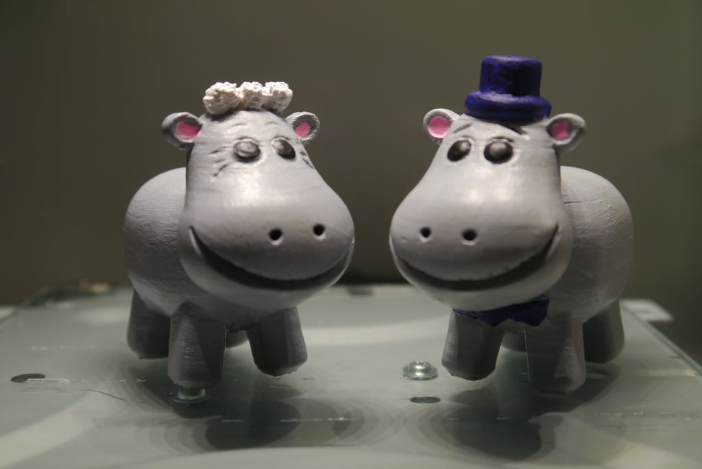Hippo Bride and Groom