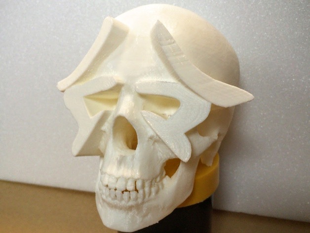 Hamamatsu skull