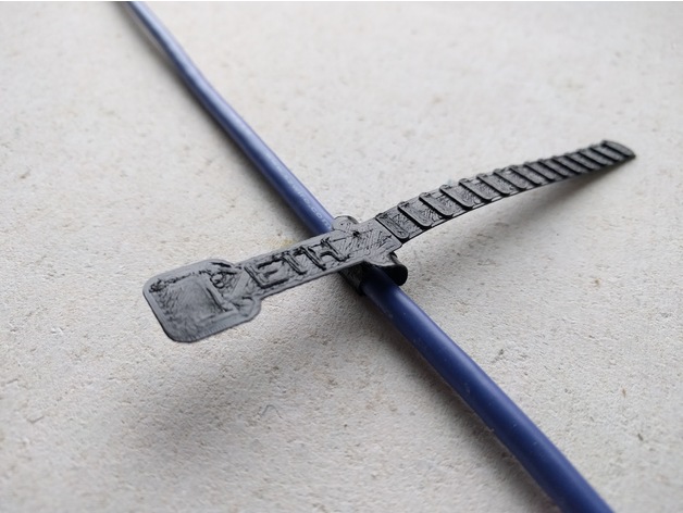 Customisable double lock cable tie