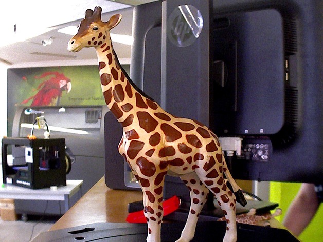 Giraffee Test