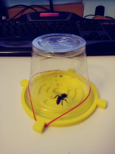 Solo cup bee holder
