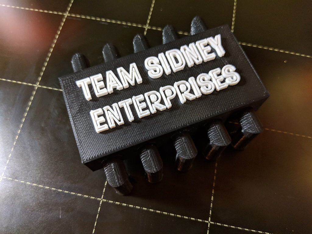 Team Sidney Microchip model 