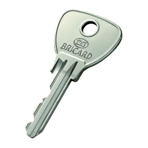 BRICARD alpha : Capuchon de clé / Key Cover or Key cap