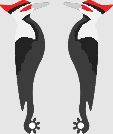 Complaint Button - Woodpecker Artwork 
