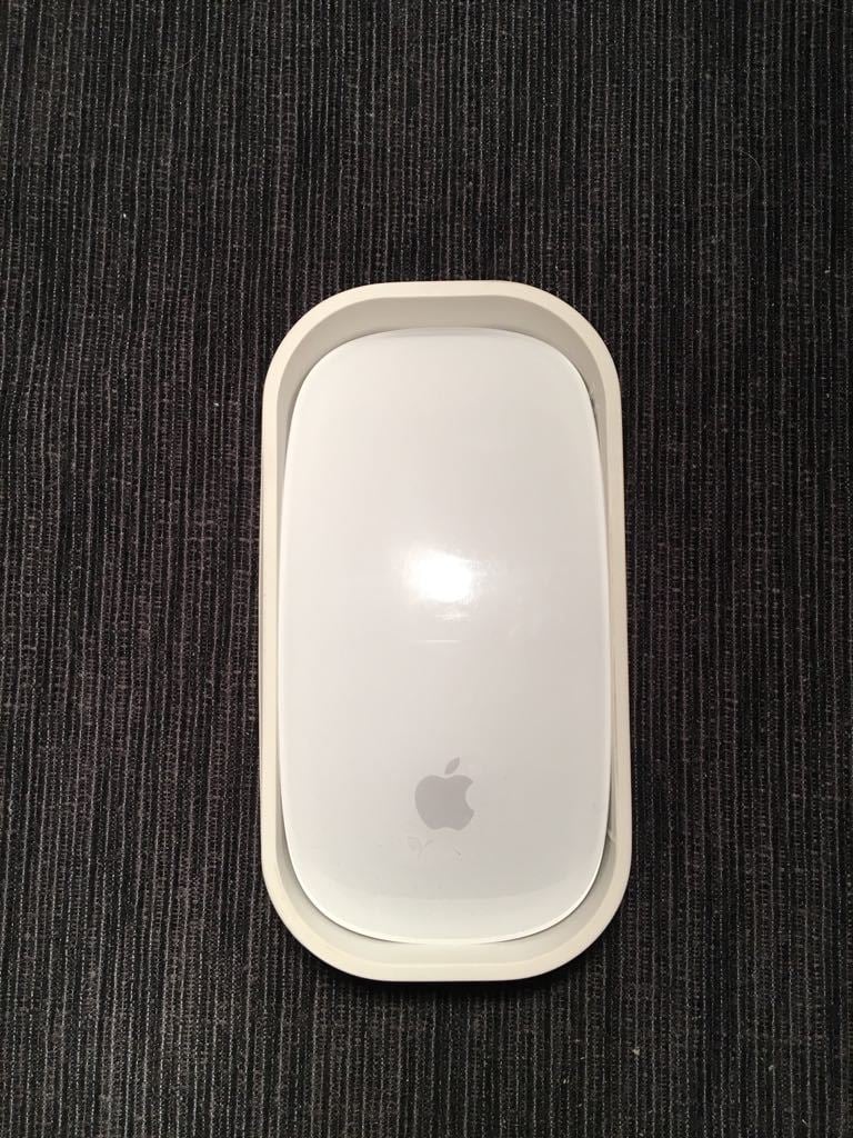 Apple Magic Mouse travel case