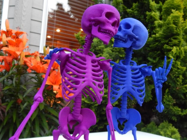 Mr Bones Articulated Skeleton