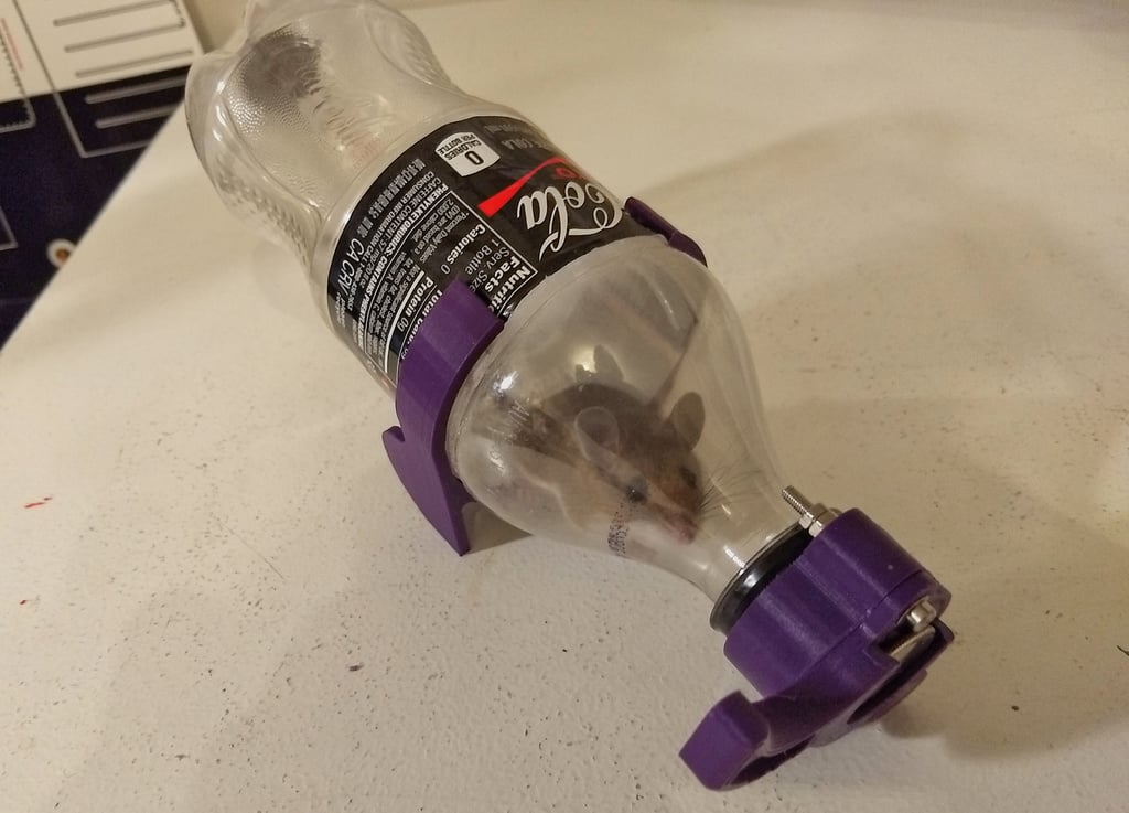 Bottle Mouse Trap