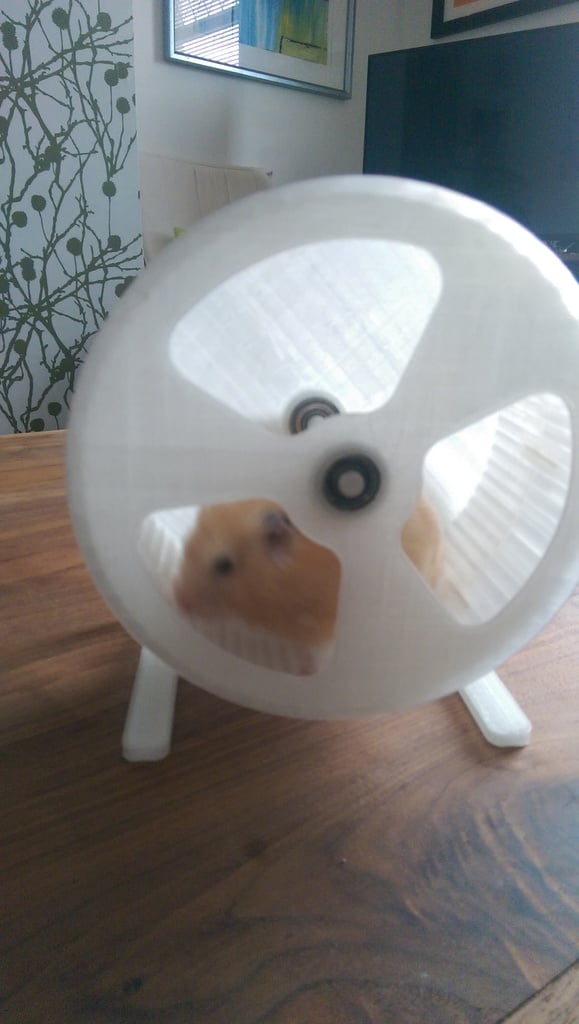 Freestanding Hamster Wheel