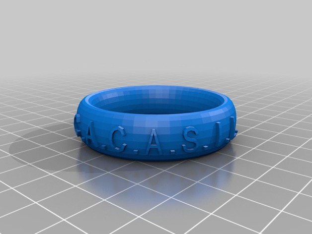 C.A.C.A.S.I.L. Ring/Bracelet/Crown Thing