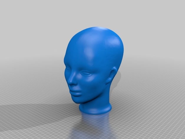 Simple Human Head Model