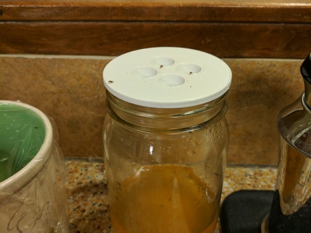 mason jar fly trap