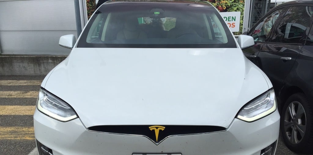 Tesla Model X Front Emblem