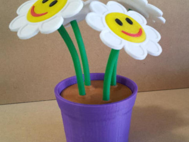 Smiley flowers in pot