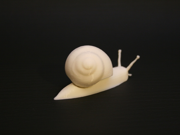 Realistic garden snail