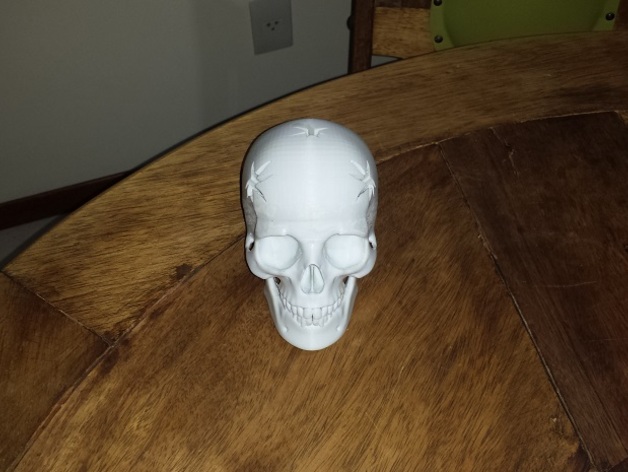 Human Skull with 5 shoots to keep pencil, pen or knife