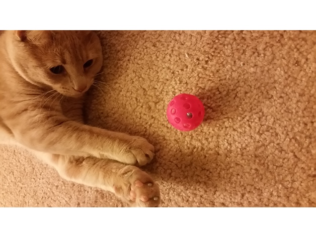 Cat Toy - Bell Inside Ball