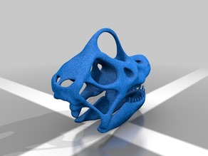Brachiosaurus Skull 3D model