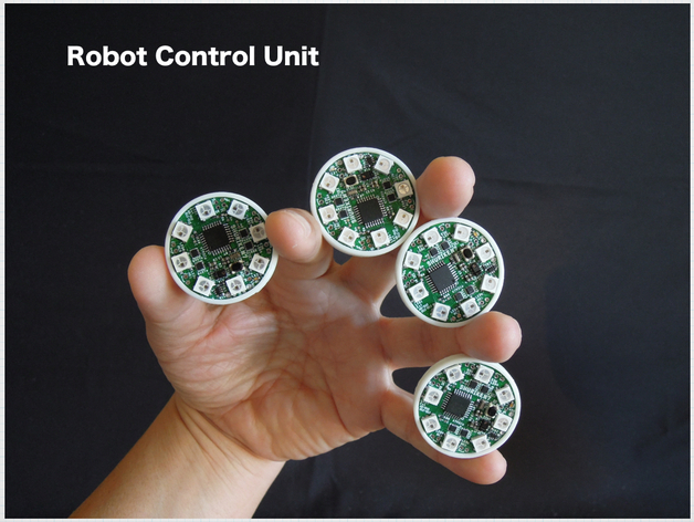Robot Control Unit