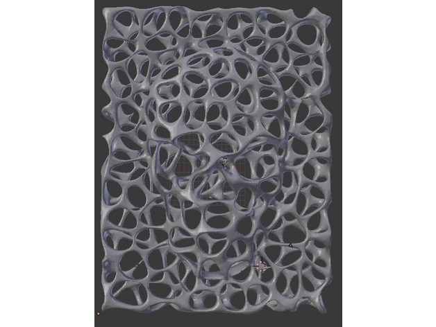Voronoi Face On Wall