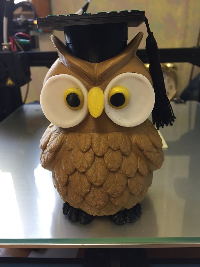 Graduation Wise Owl Maze Gift Box