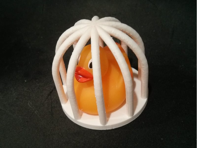 Bird cage