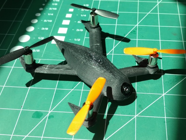FPV Evil Insect Quadcopter