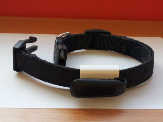 Fitbit fixation on a dog collar
