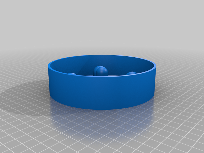 Slow Eating Food Bowl