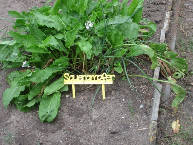 Customiser: Herbs/plants sign generator
