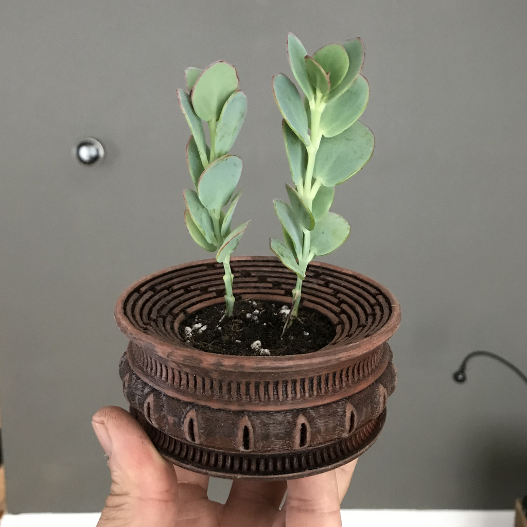 P17 Vented and Drained Succulent Planter