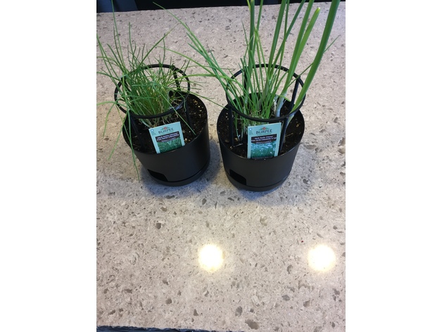 Chive Support - Plant Support