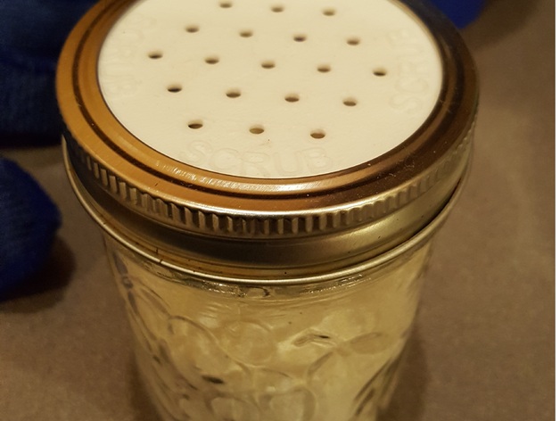 Shaker Lid Top Canning Jar Regular Mouth