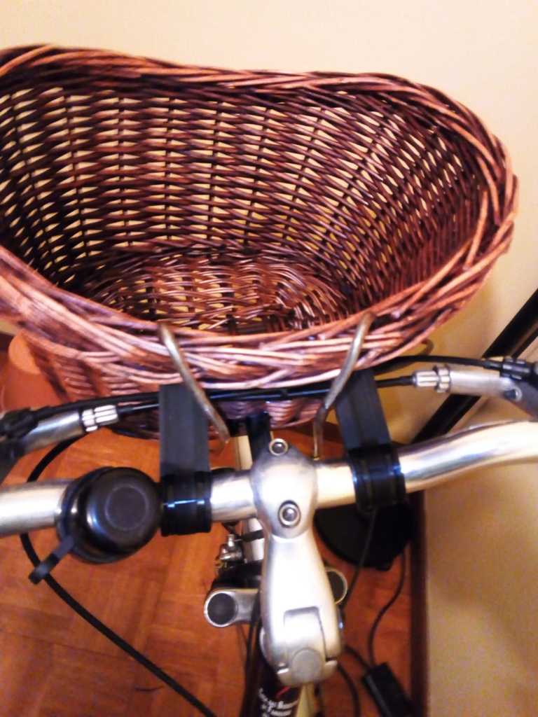 Wife's Bike basket support