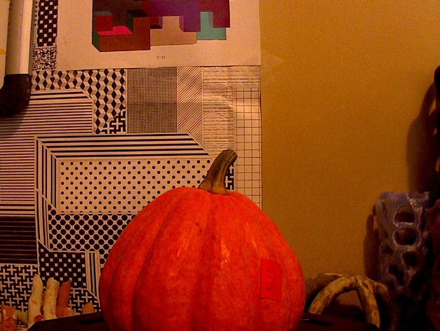 Lil' pumpkin rescanned with MultiScan