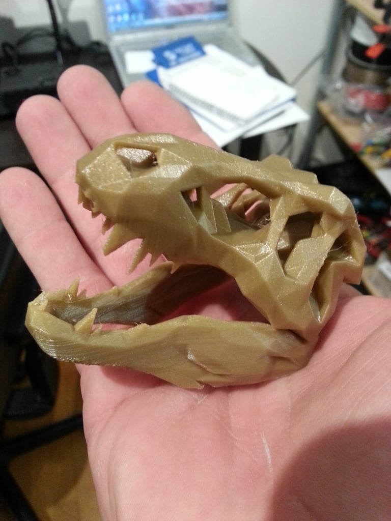 Low Poly T-Rex Skull