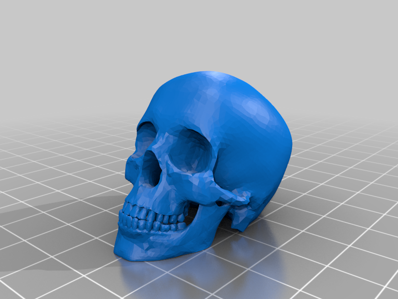 Improved Human Skull Pencil Topper
