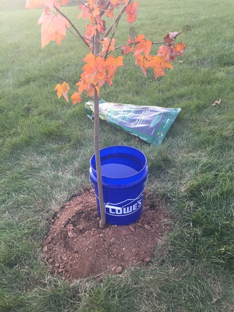 Portable Watering System for Trees and Garden