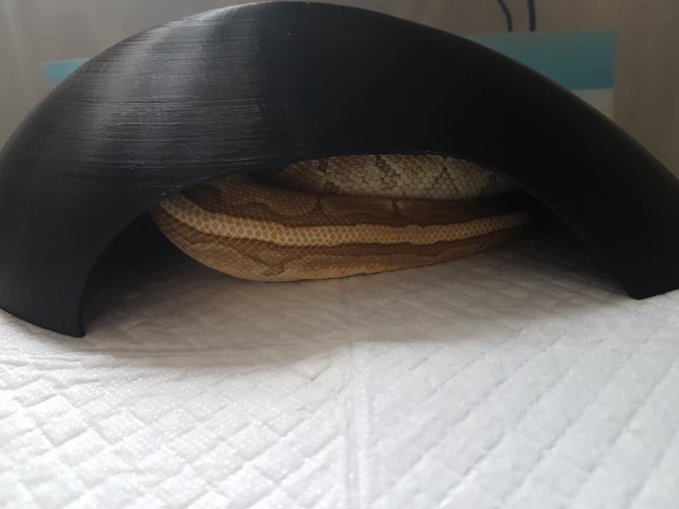 Snake/Reptile Hide