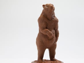 Brown Bear (Ursus arctos) 