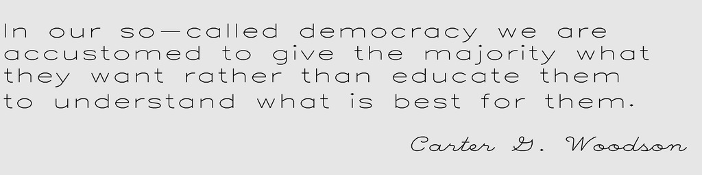Eggbot Carter Woodson Quote: In our so-called democracy...